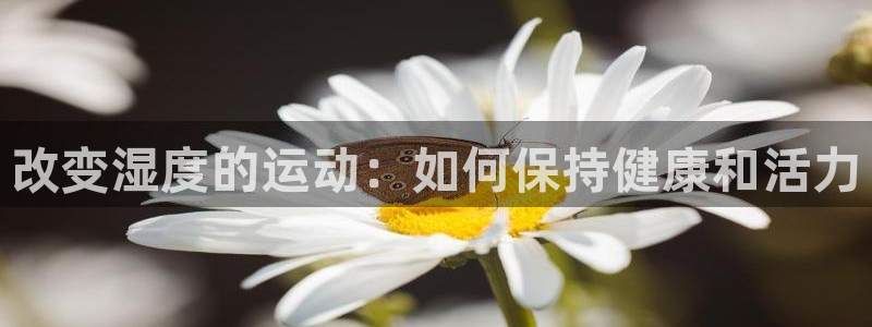 v66体育平台：改变湿度的运动：如何保持健康和活力