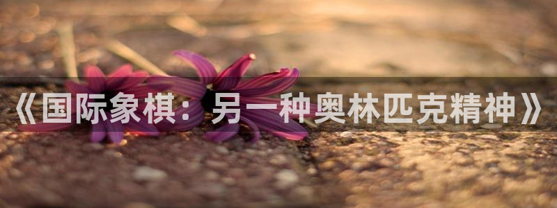 v66体育平台骗了多少人：《国际象棋：另一种奥林匹克精神》