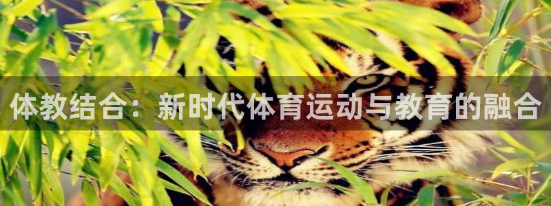 Z66体育APP官方下载入口：体教结合：新时代体育运动与教育的融合
