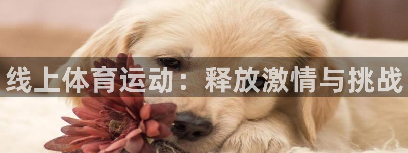 z66体育：线上体育运动：释放激情与挑战