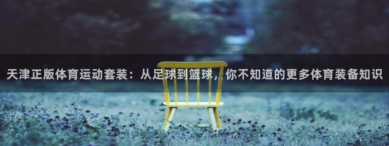 z66体育APP现在：天津正版体育运动套装：从足球到篮球，你不知道的更多体育装备知识
