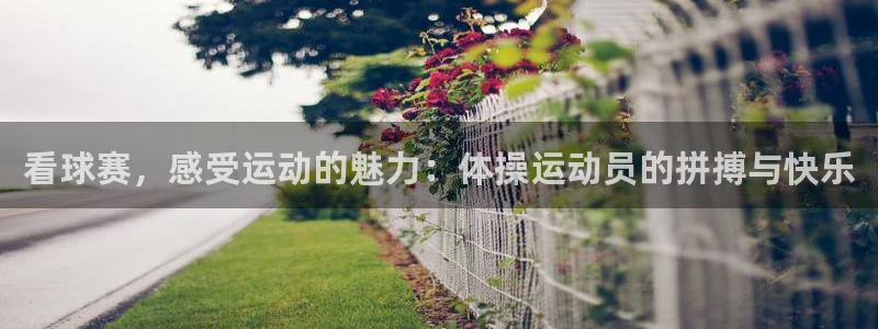 666体育：看球赛，感受运动的魅力：体操运动员的拼搏与快乐